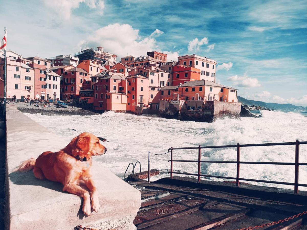 Il Giardino A Boccadasse Genua Zewnętrze zdjęcie